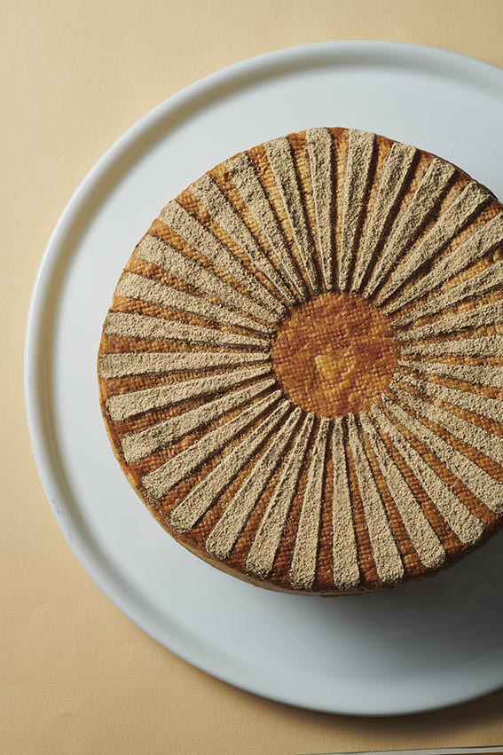 VV-01-Tourte Garenne-01